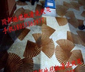 威霸國(guó)邦R 150SV VB16標(biāo)準(zhǔn)型蒸汽干洗地毯機(jī) 專業(yè)清潔的得力助手